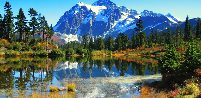 Manali Tour Packages